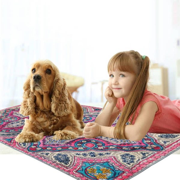 Boho Rug Runner - 2x4.3 Medallion Distressed Area Rug Entryway Doormat Non-Slip Washable Hallway Throw Rug Floor Carpet for Living Room Kitchen Laundry Bedroom Bathroom - Image 6